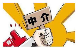 合肥房產(chǎn)中介誠信系統(tǒng)上線 重塑行業(yè)信任的關(guān)鍵一步